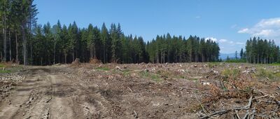 Pod Drogoszem [Od tego miejsca w stronę góry Róg praktycznie brak oznaczeń szlaku niebieskiego.]