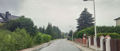 Źródełko św. Wita ↔ Żywiec, cmentarz