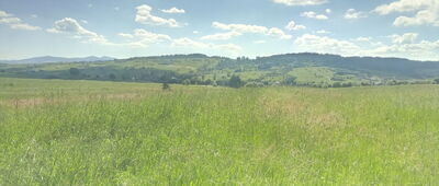 Lipnica Wielka, Kiczory ↔ Lipnica Mała