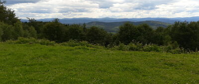 Skrzyżowanie pod Holicą ↔ Zawał [Widok na Bieszczady]