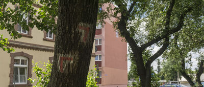 Wołów, ul. Rawicka ↔ Uskorz Wielki