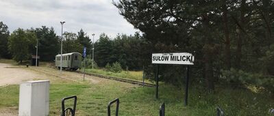 Droga Torowa, Kamień Szwedzki ↔ Rezerwat Dzika Łąka