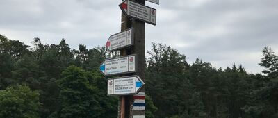 Rozejście szlaków czerwony / niebieski