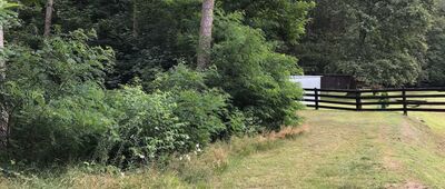 Milicz, Ośrodek Sportu i Rekreacji ↔ Milicz, kościół pw. św. Anny