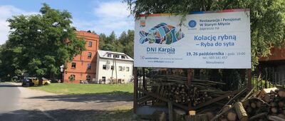 Niesułowice, rozejście szlaków ↔ Niesułowice, młyn