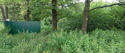 Milicz, ul. Kolejowa ↔ Milicz, ul. Poprzeczna [Szlak prowadził przez zarośla. Obecnie omija to miejsce.]