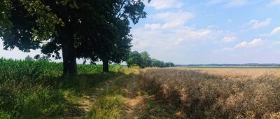 Mękarzowice ↔ Dobroszyce