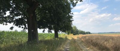 Mękarzowice ↔ Dobroszyce