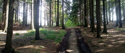 Velká Louka, vrchol ↔ Skalka