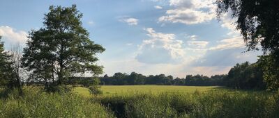 Lelików, odejście szlaku ↔ Staw Gądkowicki