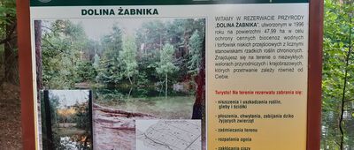 Rezerwat Przyrody Dolina Żabnika [Dolina Żabnika 1]