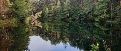 Rezerwat Przyrody Dolina Żabnika [Dolina Żabnika 3]