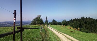 Maciejowa ↔ Schronisko PTTK na Maciejowej [panorama spod schroniska na Maciejowej od Żeleźnicy po Beskid Żywiecki]