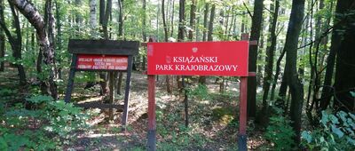 Spisz ↔ Rozdroże pod Starym Książem