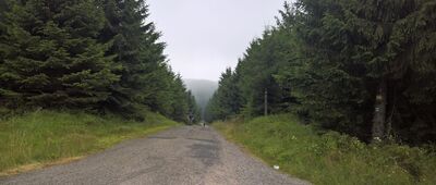 Pod Jelenkou [Szlak niebieski w kierunku Luisino údolí]