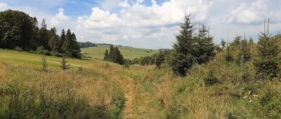 Krempachy ↔ Dursztyn [Pieniny Spiskie - zielonym szlakiem z Krempachów do Dursztyna]