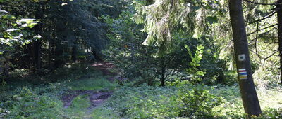 Przełęcz Regetowska, wiata ↔ Przełęcz Regetowska