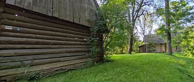 Marcyporęba [Marcyporęba]