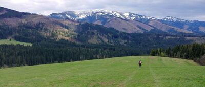 Mikulovka, sedlo ↔ Blatná dolina