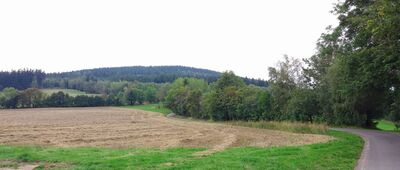 Úbočí Předního Žalého ↔ Křížovky, bus [Widok na wzgórze Přední Žalý.]