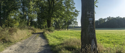 Siekierczyn ↔ Sulików