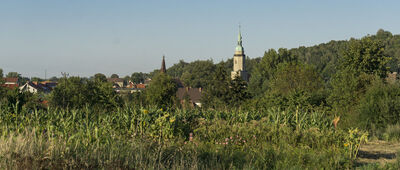 Wrociszów Dolny, skrzyżowanie ↔ Sulików [Widok na Sulików]