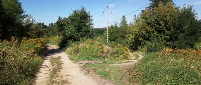 Grodziec, ul. Przełajska [rozejście szlaków przy ul. Przełajskiej w Grodźcu]