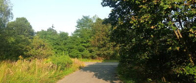 Sławięcice, ul. Spacerowa ↔ Sławięcice, dworzec kolejowy