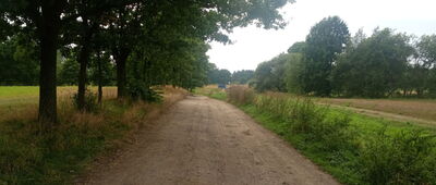 Gliwice, ul. Warmińska ↔ Szałsza