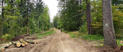 Pasmo Żukowa ↔ Ścieżka do Rabe