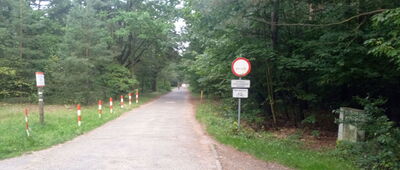 Rozejście szlaków żółty / czarny