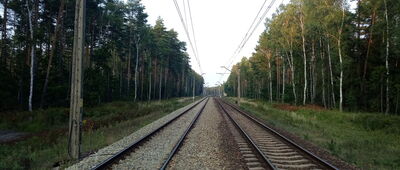 Droga Pilska ↔ Piłka