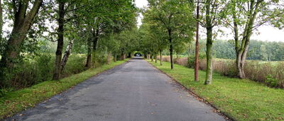 Czechowice, ul. Rekreacyjna ↔ Czechowice, pętla