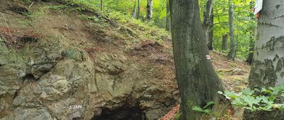 Smocza Jama [Smocza Jama - Kamionki]