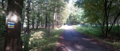 Leśny Krzyż ↔ Hamerla [na szlaku]