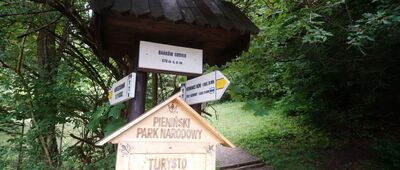 Bańków Gronik
