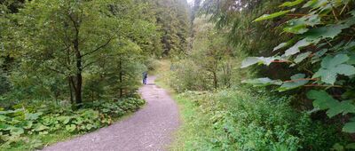 Huty ↔ Oblazy, rázc.