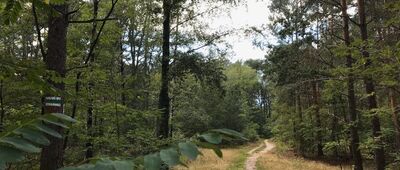 Rozejście szlaków niebieski / zielony / czarny ↔ Rozdroże pod wieżą