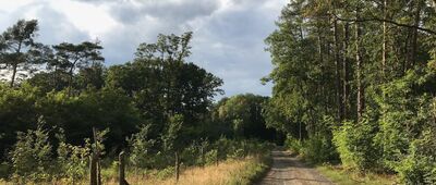 Rozejście szlaków ↔ Zielona Góra, ul. Wrocławska