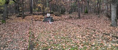 Mogiła Powstańców 1863 r.