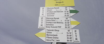 Niemcza, droga nr 8 [Niemcza, droga 8]