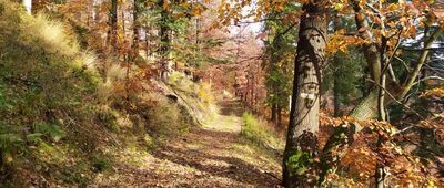 Rozdroże Mićkowskie