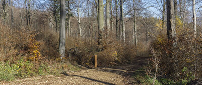 Skrzyżowanie szlaków czerwony / zielony / żółty