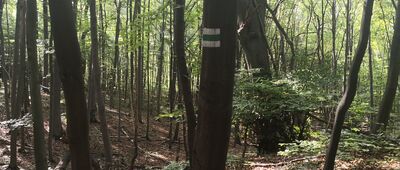 Rezerwat Góra Chełm ↔ Hutki-Kanki [Buki Rezerwatu Góra Chełm]