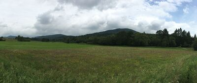 Świątkowa Wielka ↔ Świątkowa Wielka, granica parku narodowego [Żółty szlak]
