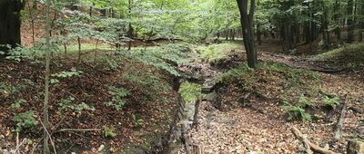 Rozlewisko Ślepotki ↔ Las Murckowski [Kanał]