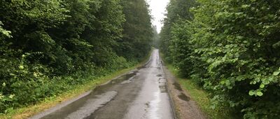 Kalnica, początek ścieżki "Bieszczady Odnalezione" ↔ Jaworzec, most