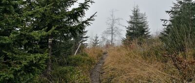 Lipowa, Ostre ↔ Pod Malinowską Skałą