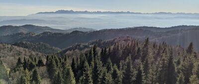 Magurki [Magurki - panorama z wieży widokowej.]