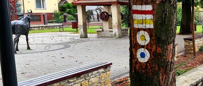 Jaworzno, Jeleń [Jaworzno, Jeleń]